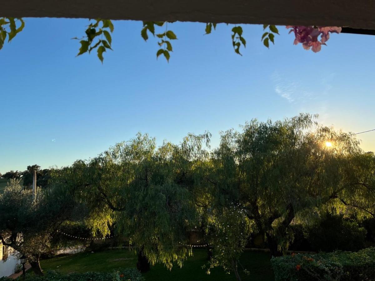 Casa Rural "El Carrasca" El Carrascalejo エクステリア 写真