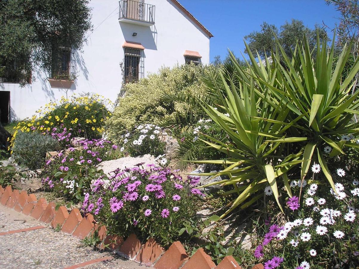 Casa Rural "El Carrasca" El Carrascalejo エクステリア 写真