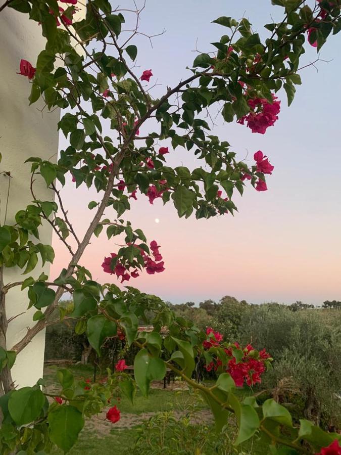 Casa Rural "El Carrasca" El Carrascalejo エクステリア 写真