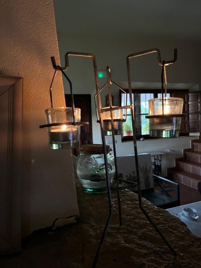 Casa Rural "El Carrasca" El Carrascalejo エクステリア 写真