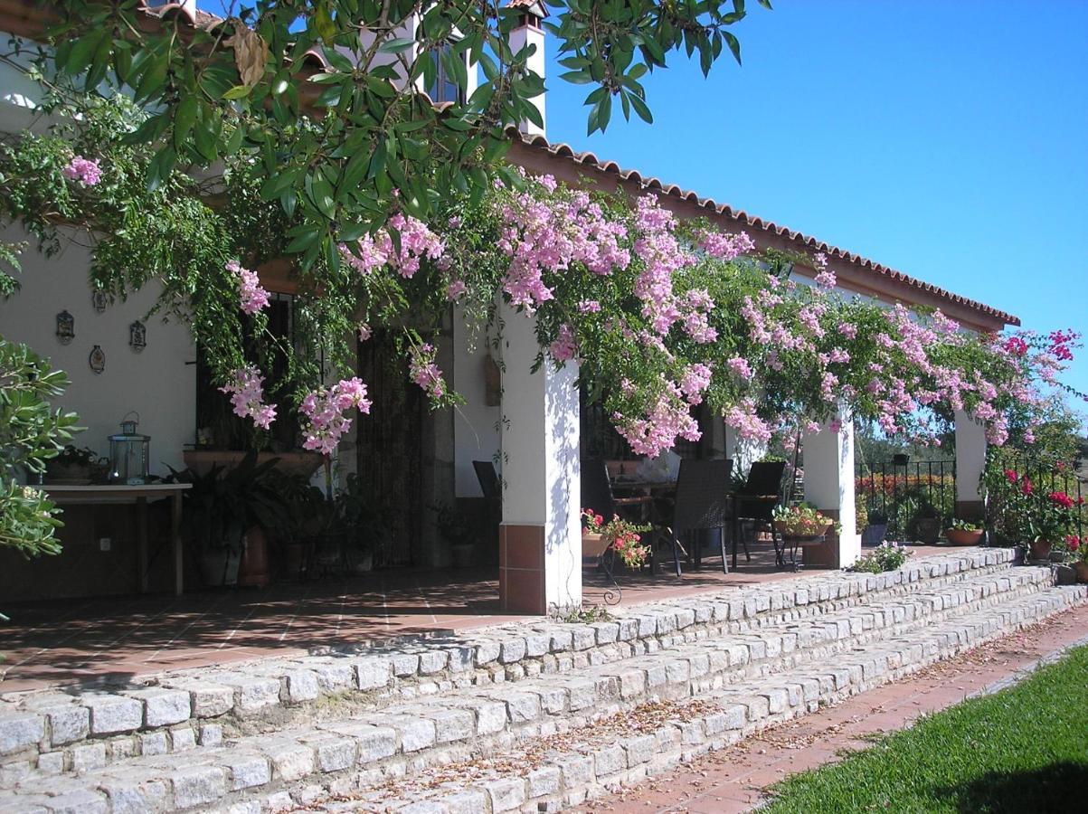 Casa Rural "El Carrasca" El Carrascalejo エクステリア 写真