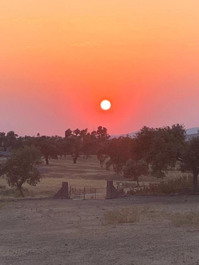 Casa Rural "El Carrasca" El Carrascalejo エクステリア 写真